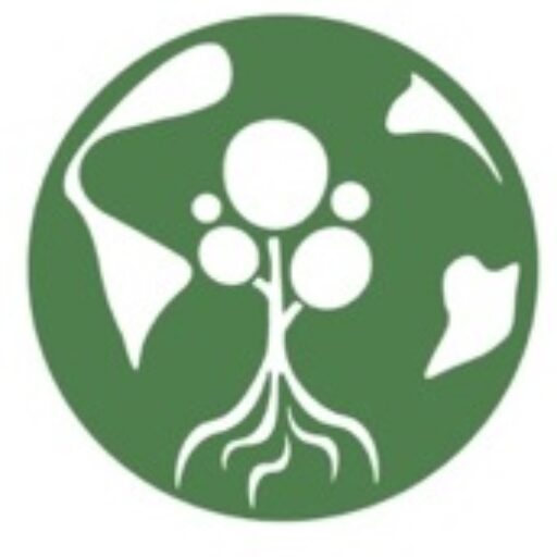 kodamafoundation.org